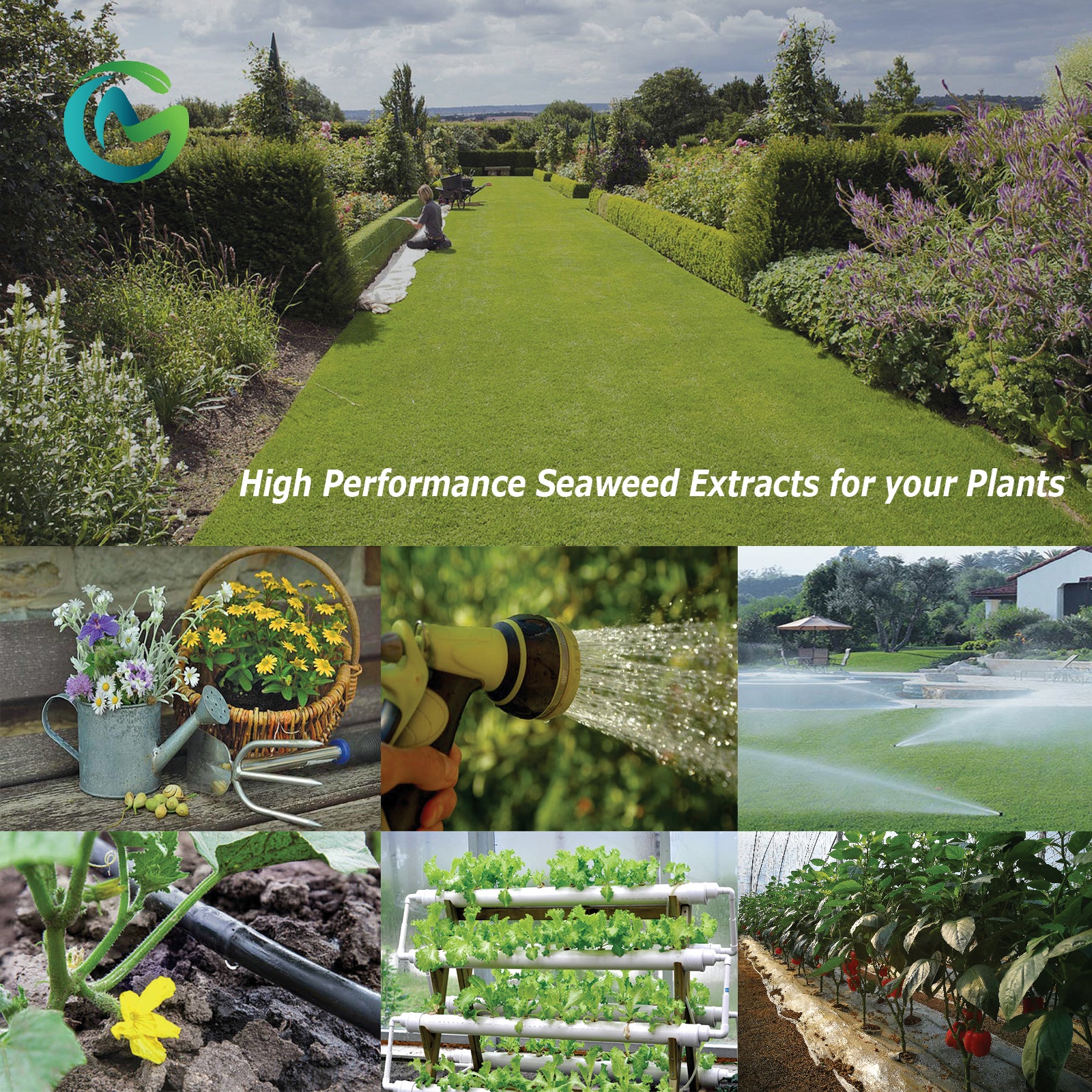 Seaweed Extract Micro Granular, Organic Growth Enhancer